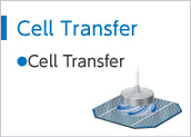 Cell Transfer